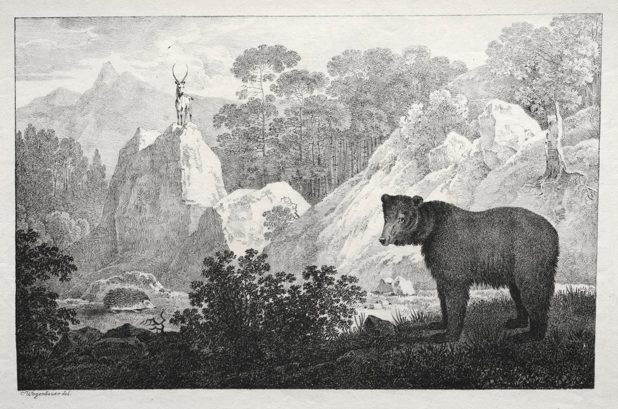 Ayı Ön Planda Dağlık Manzara. by Maximilian Josef Wagenbauer