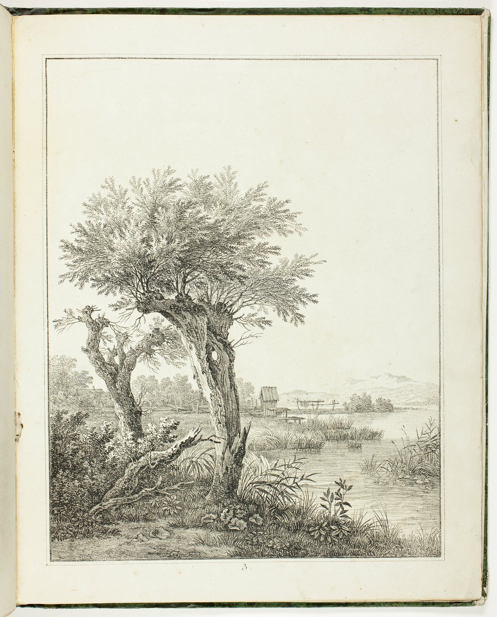 Yeni Başlayan Peyzaj Sanatçıları İçin Ağaç Çalışmaları by Maximilian Josef Wagenbauer