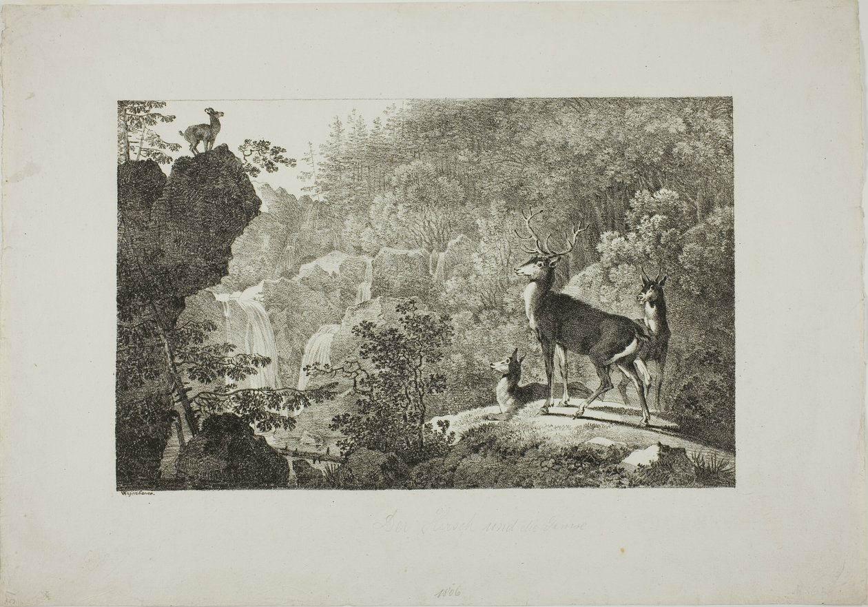 Geyik ve Chamois by Maximilian Josef Wagenbauer