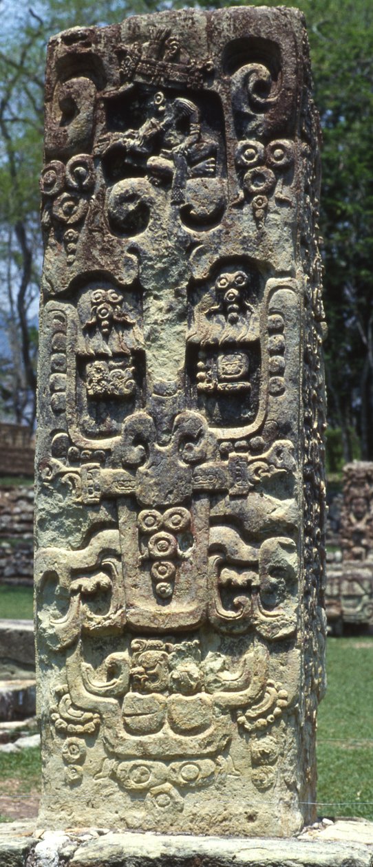 Stela B