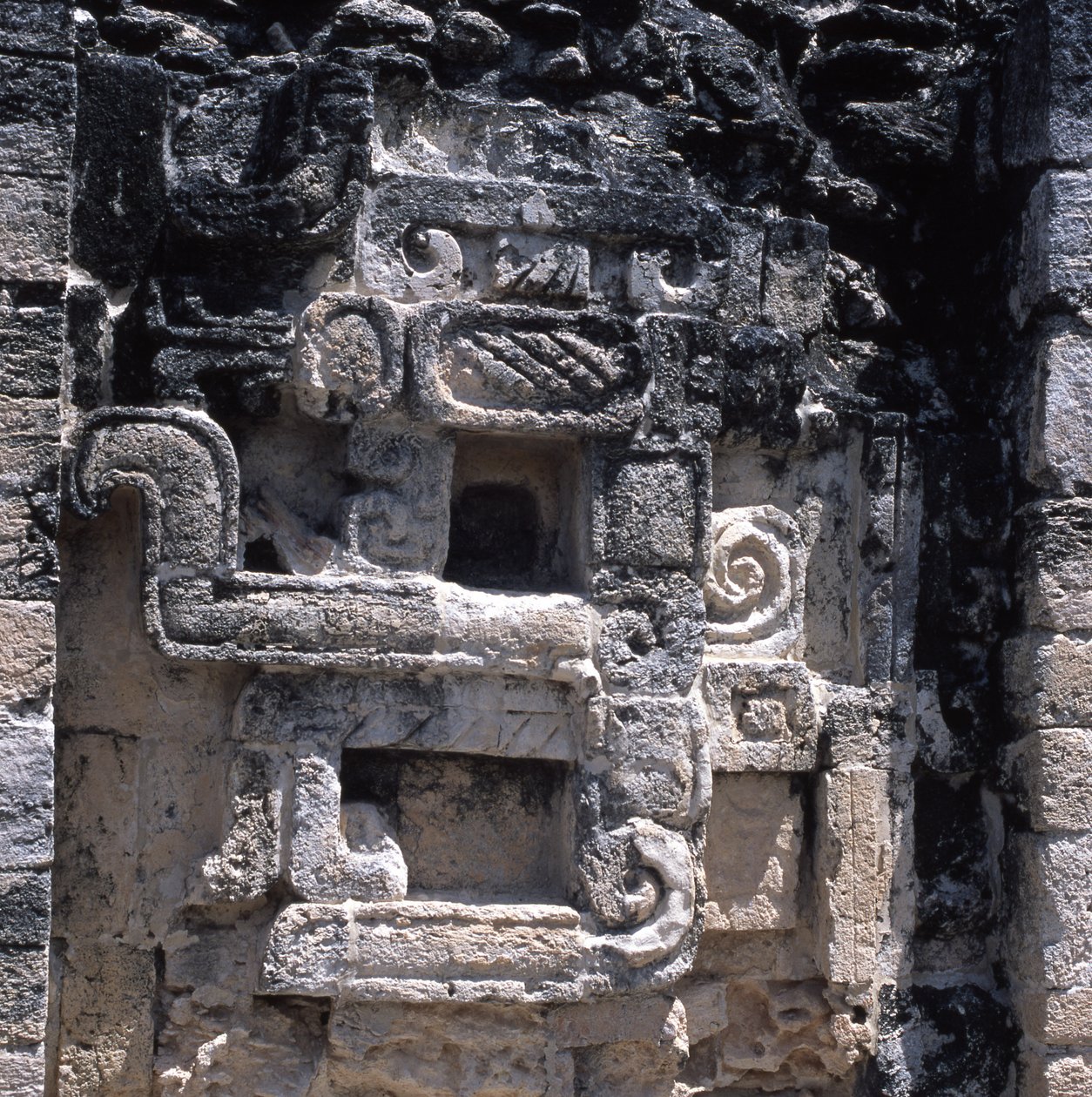 Bir dünya canavarının rölyefi, Geç Klasik dönem, MS 600-900 by Mayan