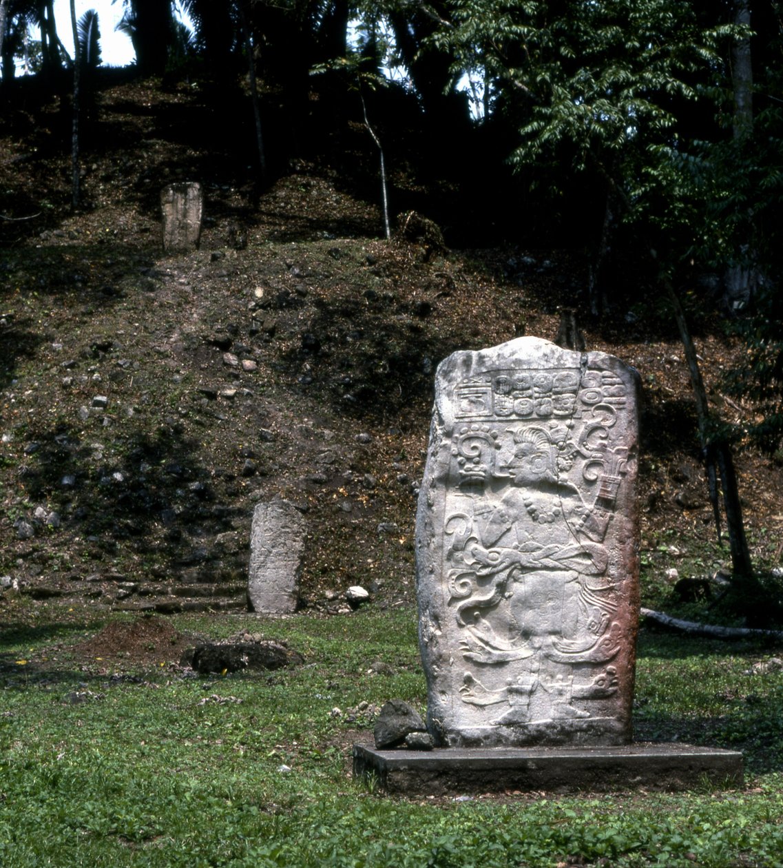 Seibal, Stela 13, Nihai Klasik Dönem, MS 849 by Mayan