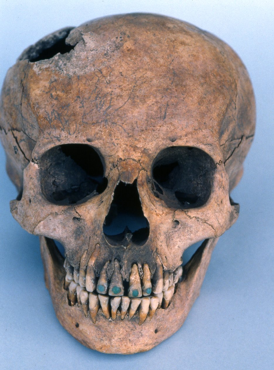 Yeşim kaplı dişlere sahip kafatası, 1990 (kemik) by Mayan