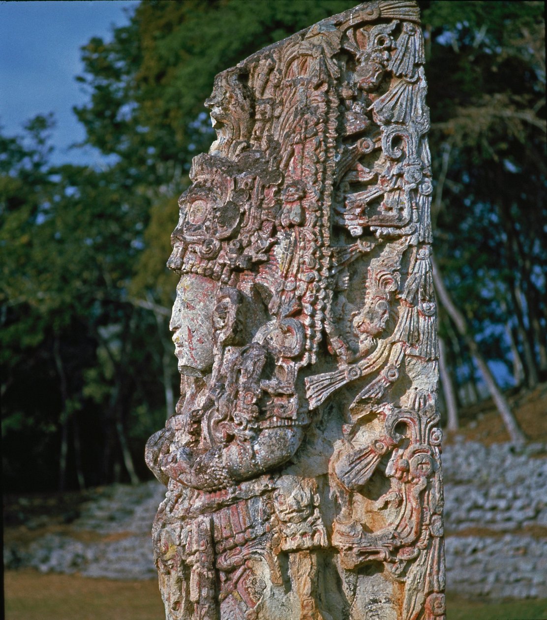 Stel H, Törenler Meydanı, MS 731 by Mayan