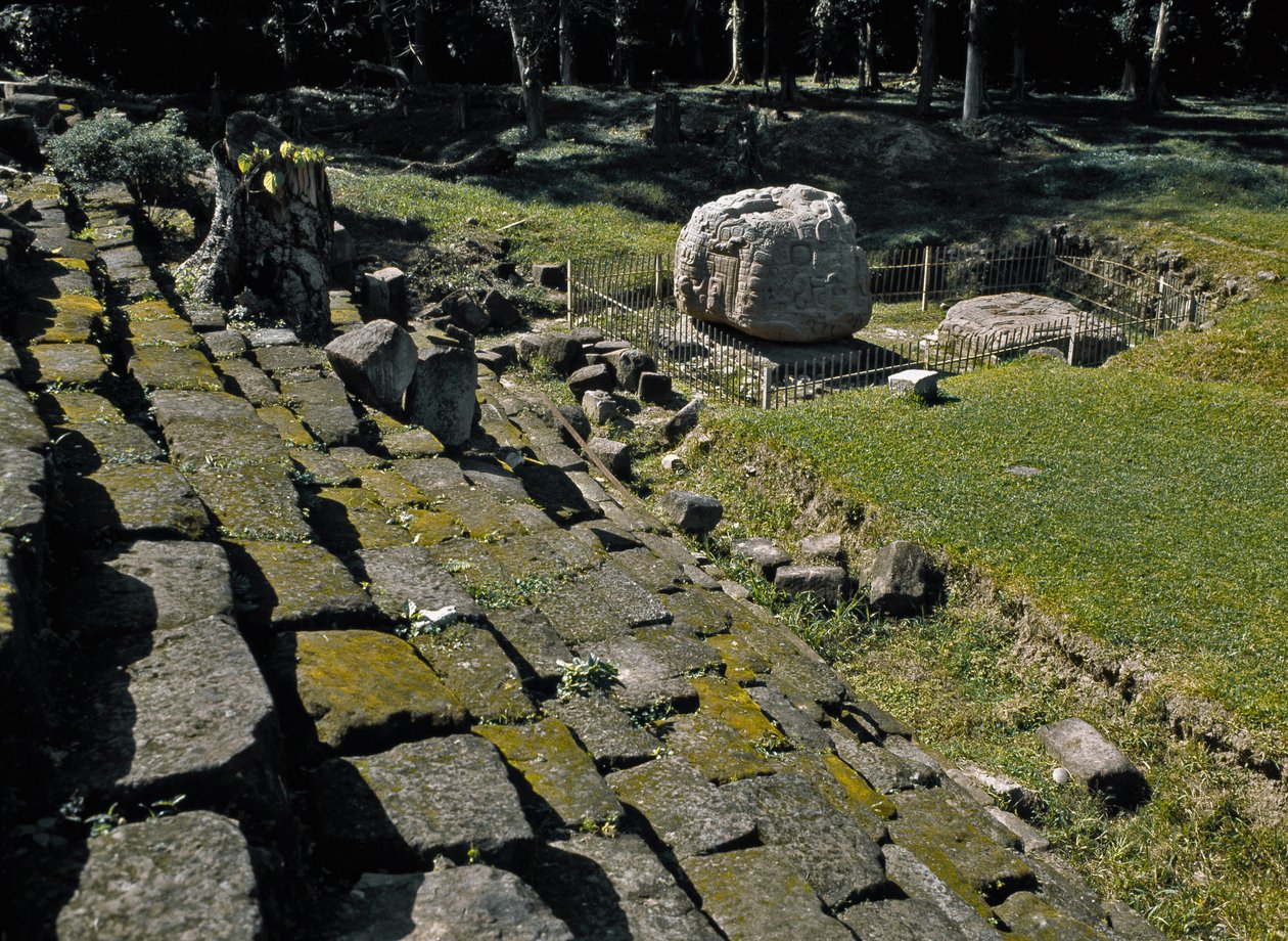 Zoomorfik sunak P by Mayan