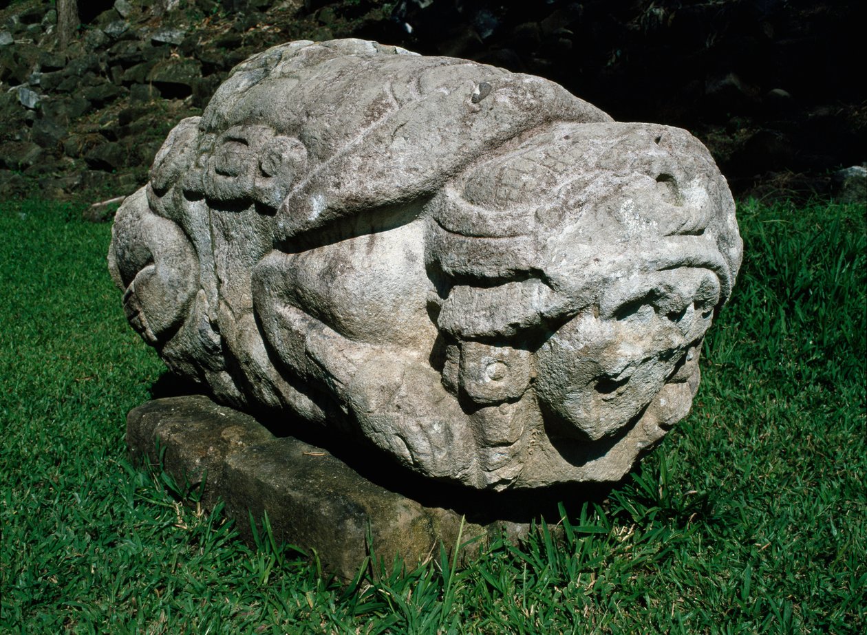Bir gres bloğuna oyulmuş zoomorfik sunak by Mayan