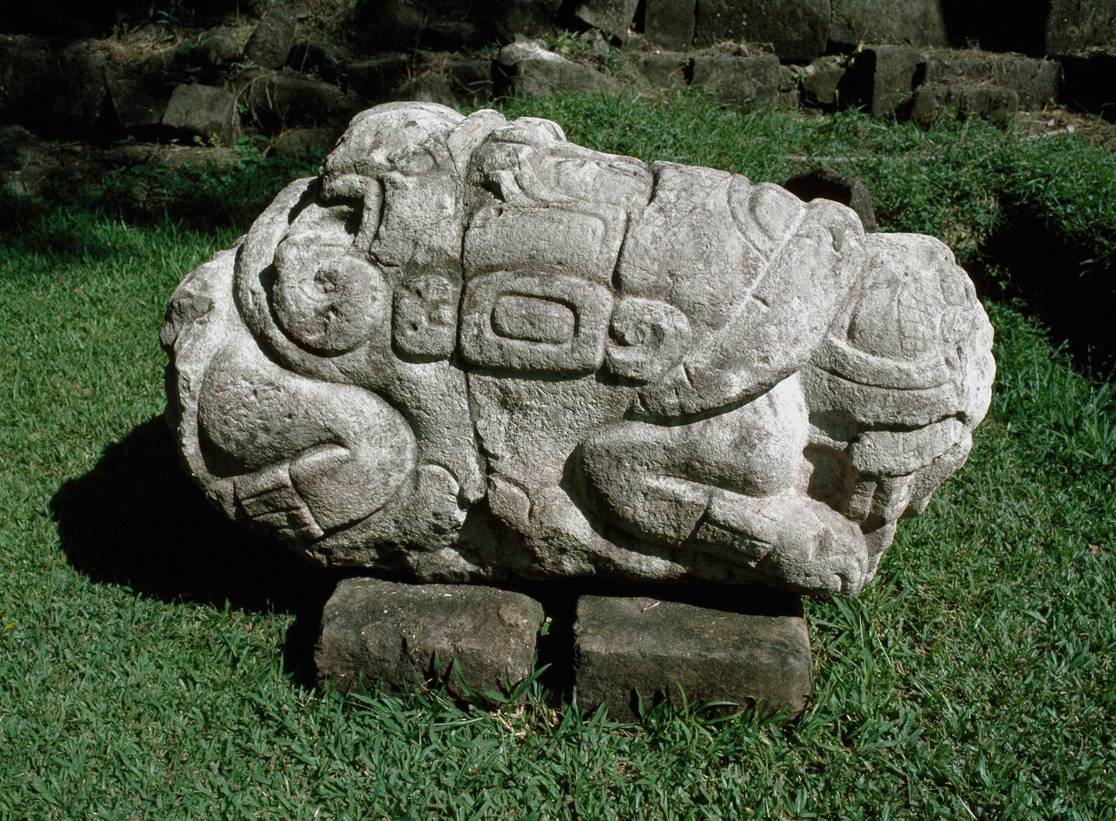 Bir gres bloğuna oyulmuş zoomorfik sunak by Mayan