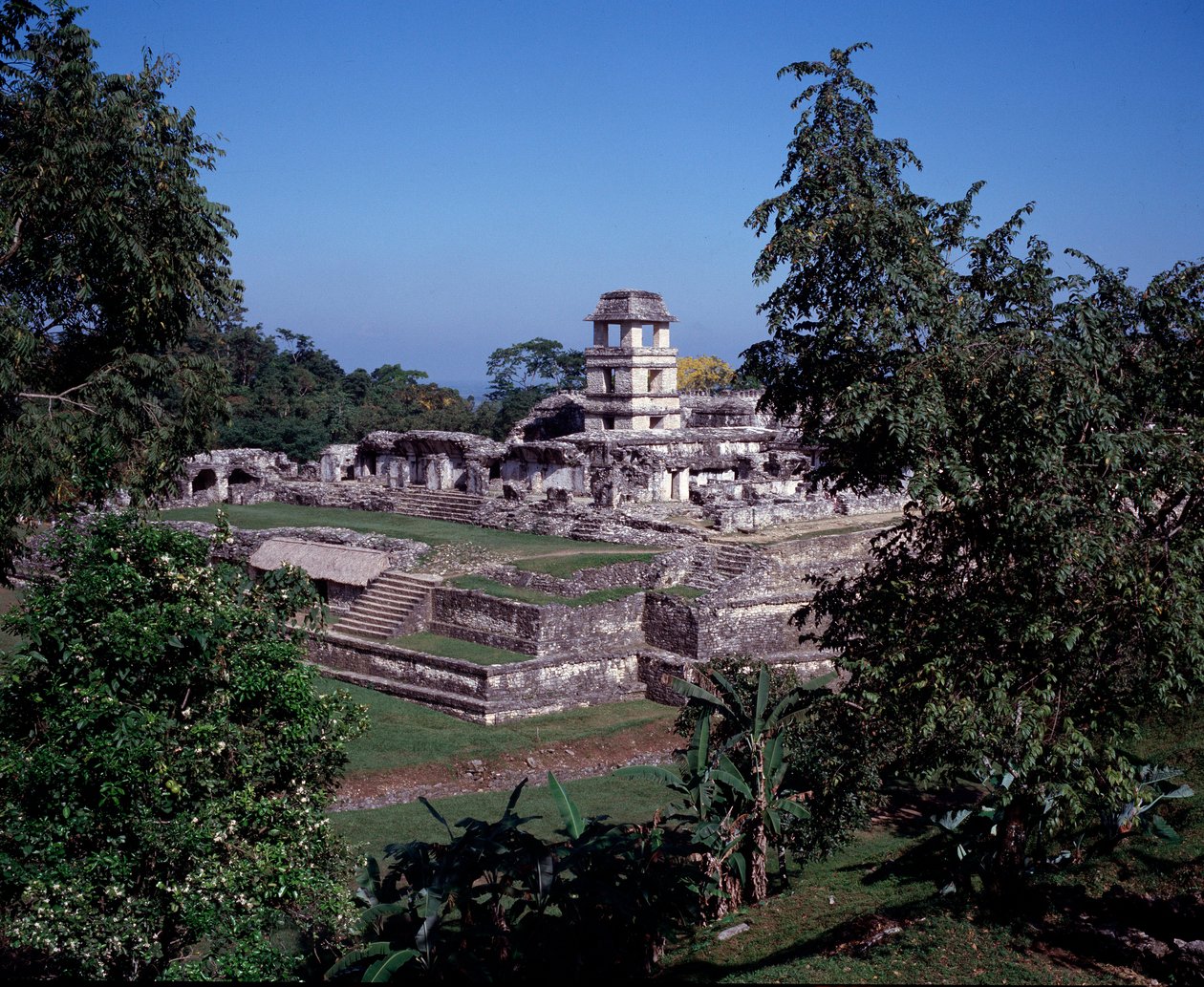 Kolomb öncesi medeniyet: Chiapas Klasik Maya döneminde Palenque bölgesinin görünümü by Mayan Mayan