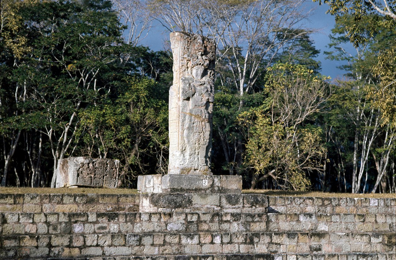 Balo sahasına bakan stel 2, MS 652 by Mayan Mayan