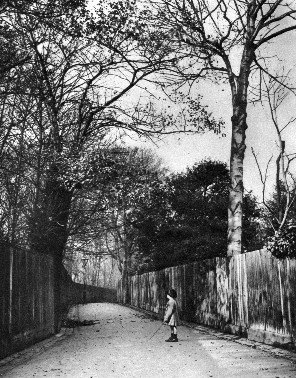 Holland Walk