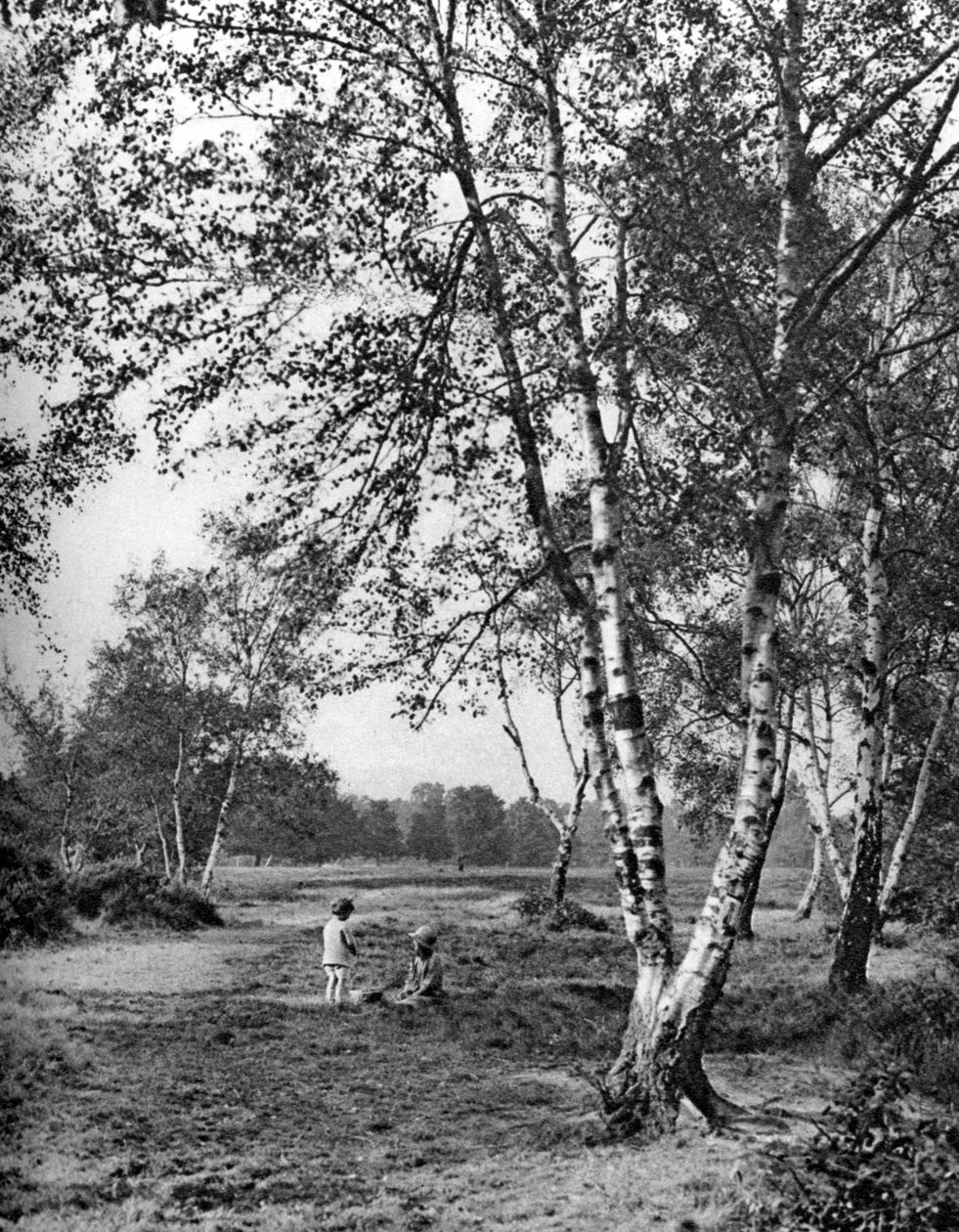 Putney Heath, Londra, 1926-1927 by McLeish