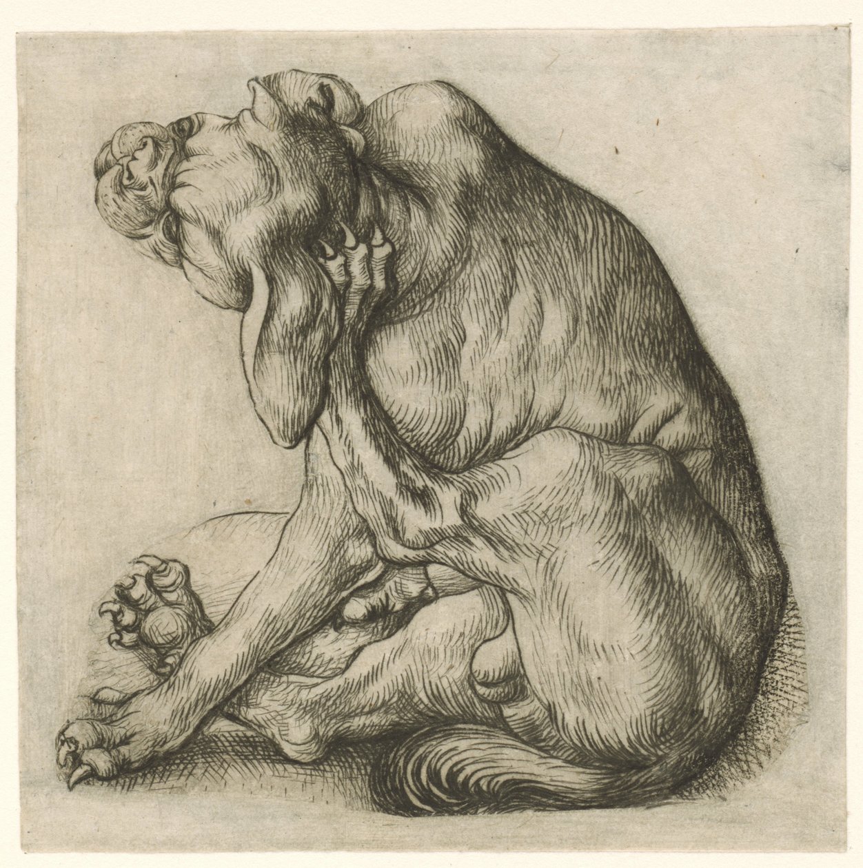 tırmalamak köpek by Meester van het Amsterdamse Kabinet