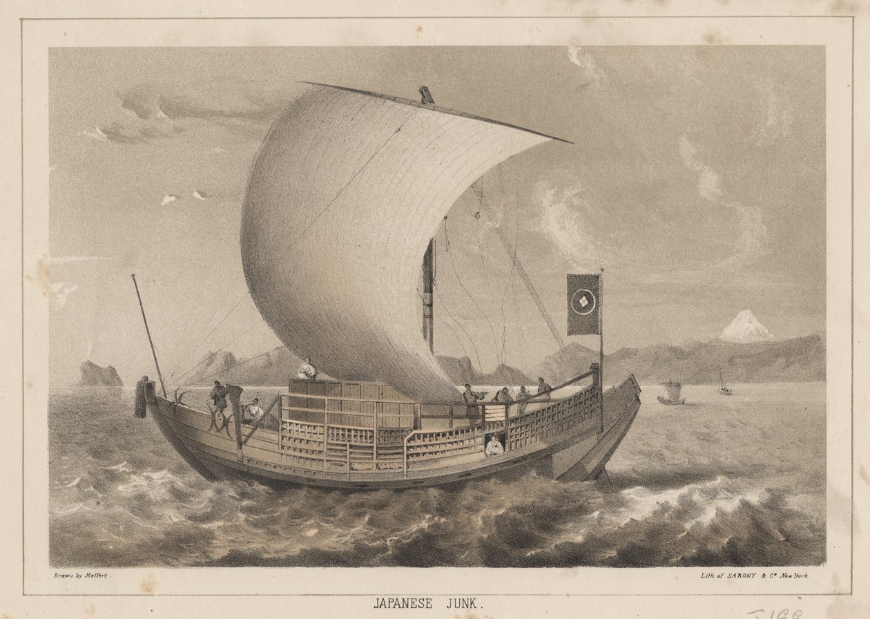 Japon Hurdası, 1855 by Meffert