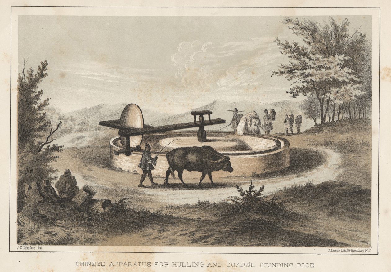 Pirinç Soyma ve Kaba Öğütme için Çin Aparatı, 1855 by Meffert