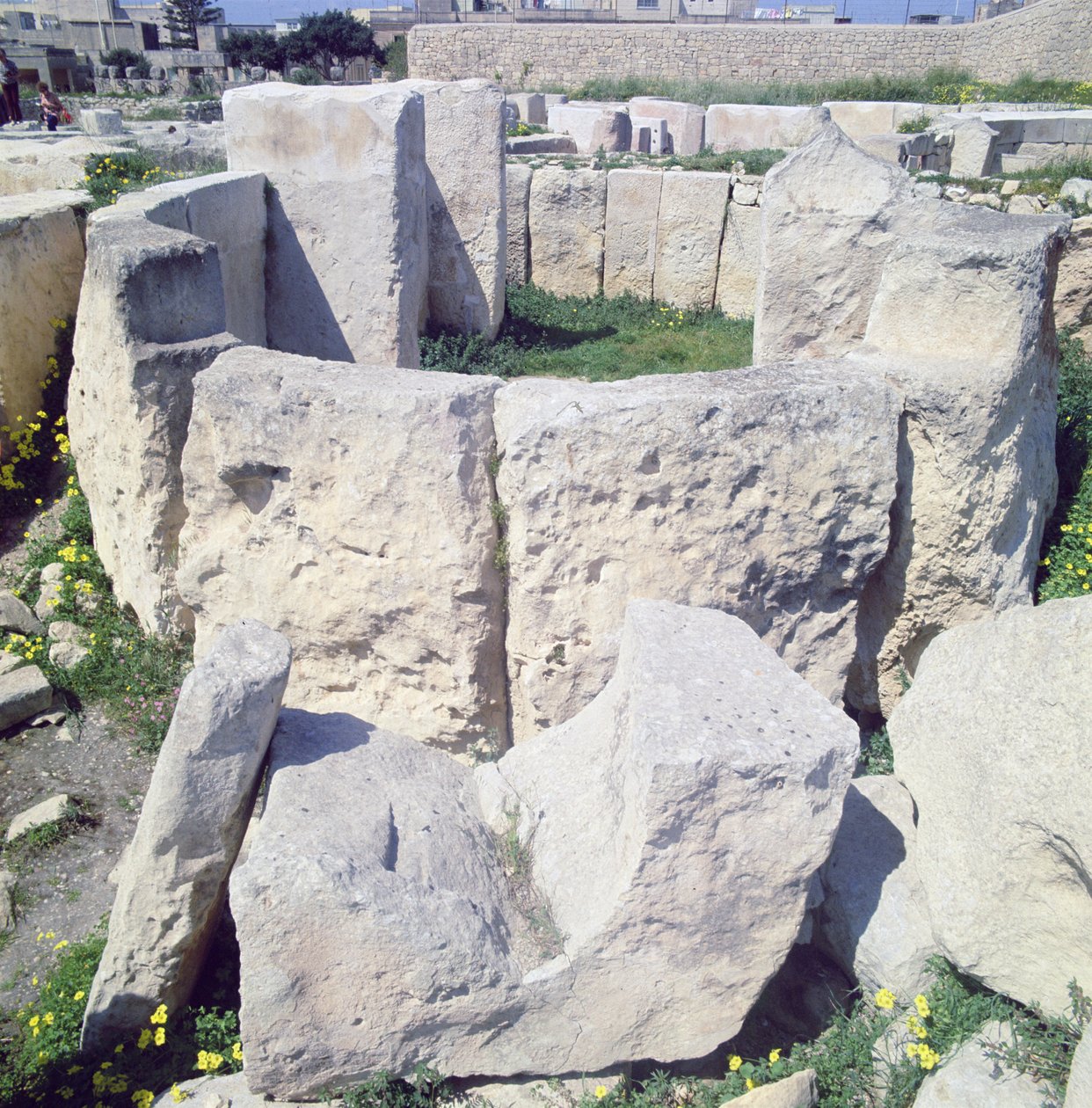 Megalitik tapınak alanı by Megalithic