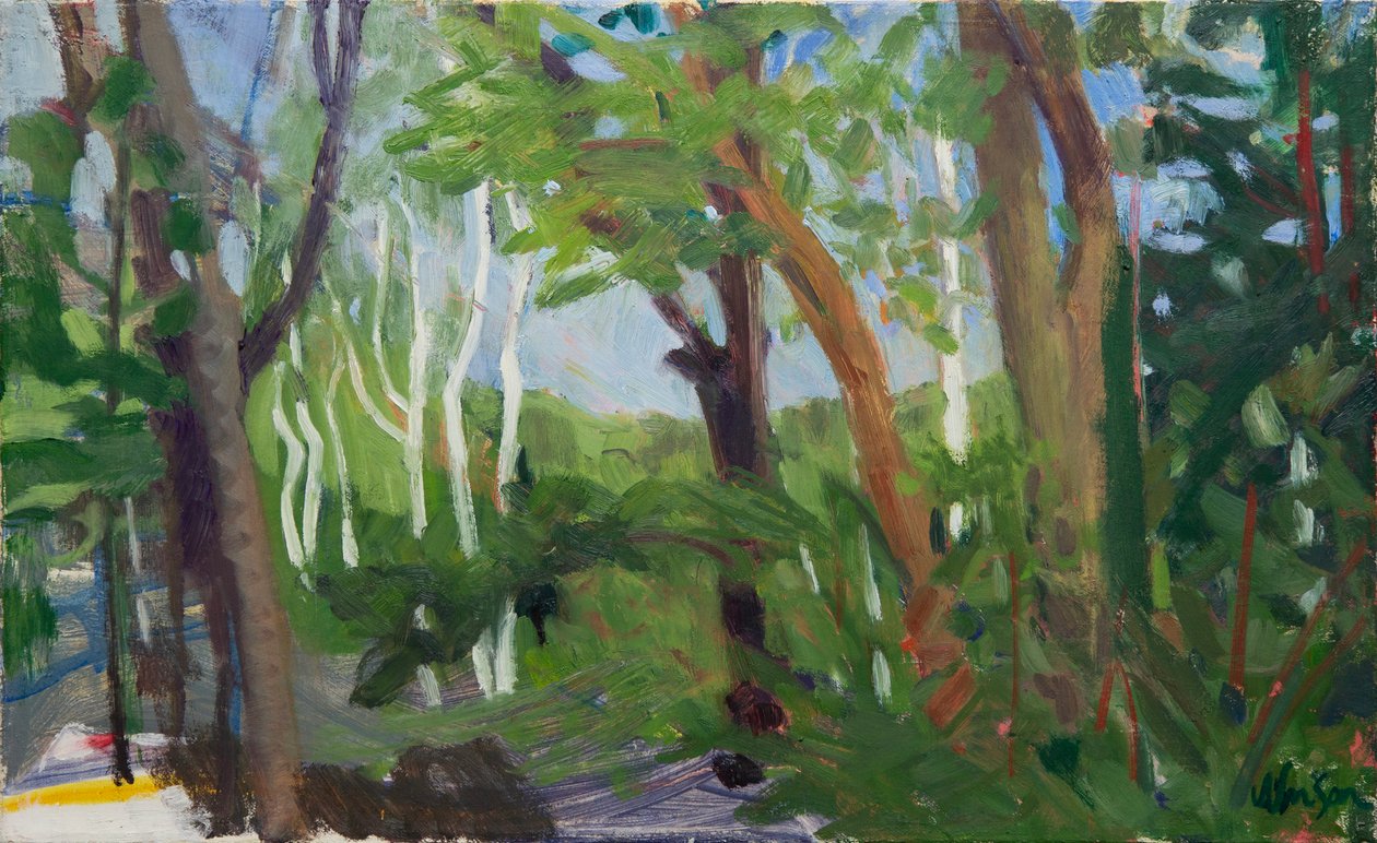  by Megan Williamson
