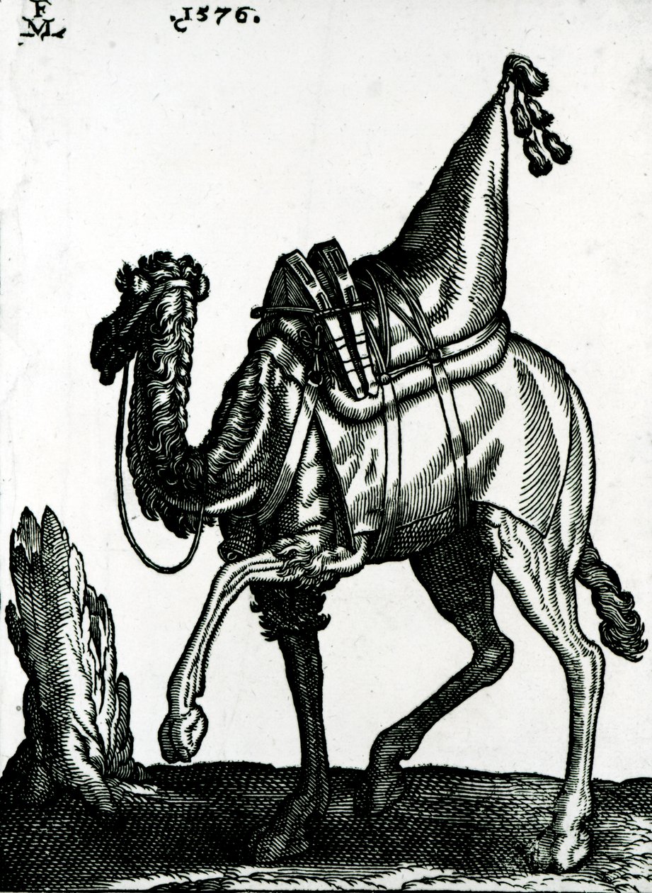 Deve (tahta blok) by Melchior Lorck