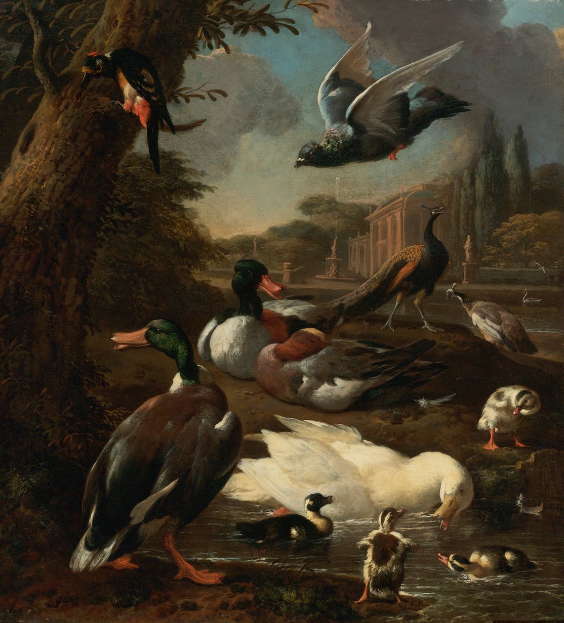Bahçe Ortamında Tavus Kuşu, Güvercin, Ördekler Ve Diğer Kuşlar by Melchior de Hondecoeter