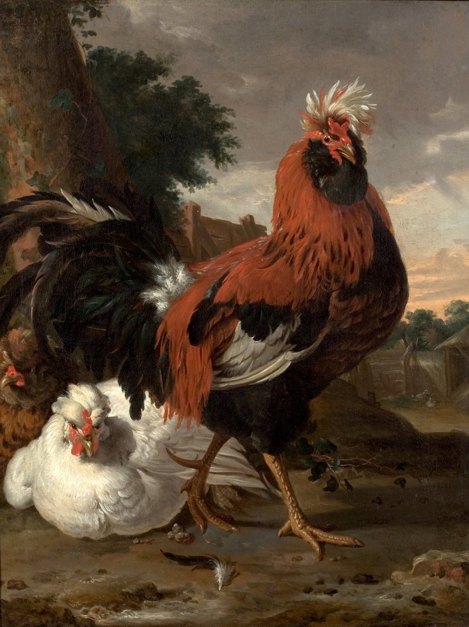 kümes hayvanı by Melchior de Hondecoeter