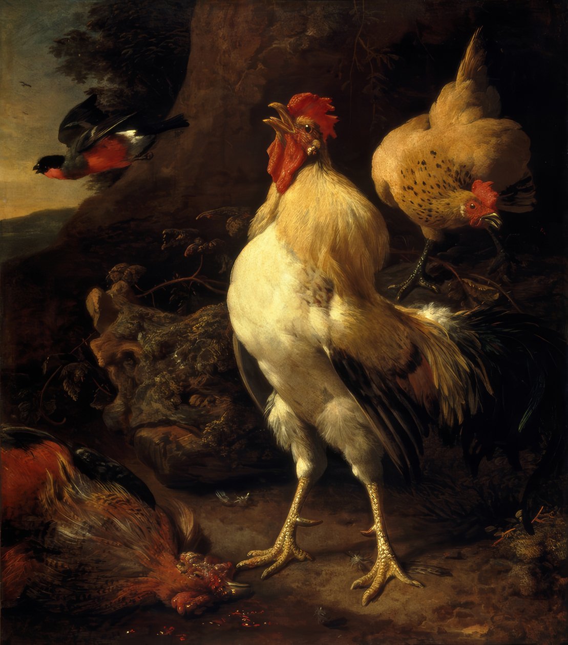 M. de Hondecoeter, Muzaffer Horoz by Melchior de Hondecoeter