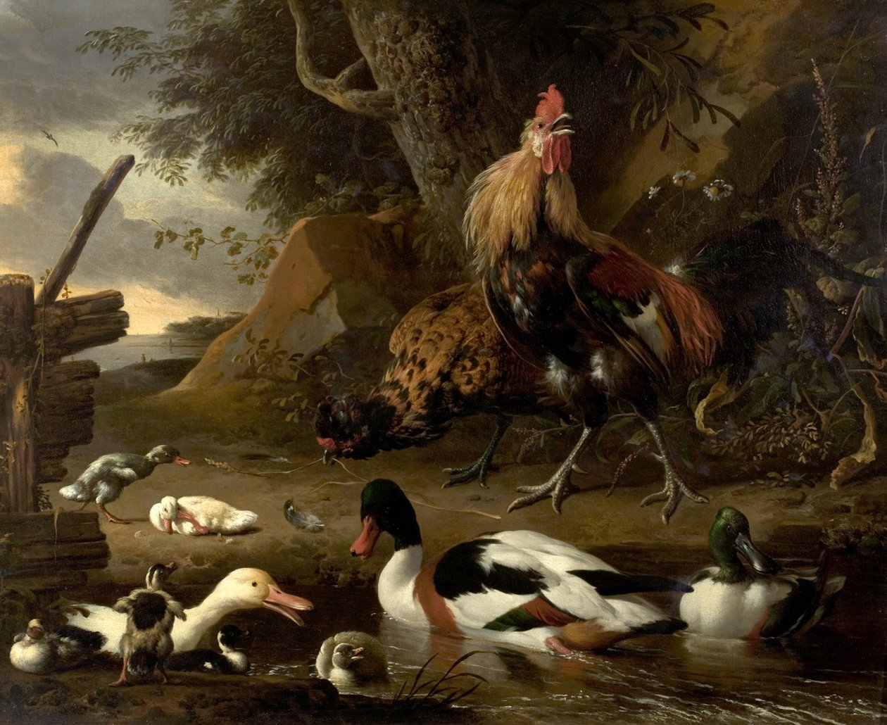 Bir Gölet Üzerinde İki Tavuk ve Ördek by Melchior de Hondecoeter