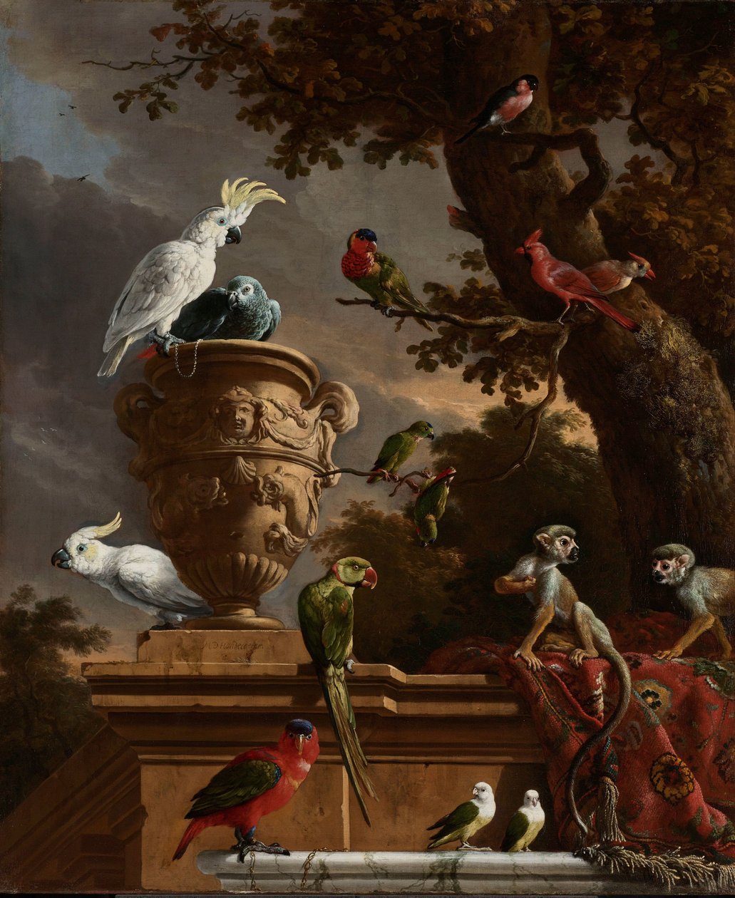 Menagerie Menagerie by Melchior d