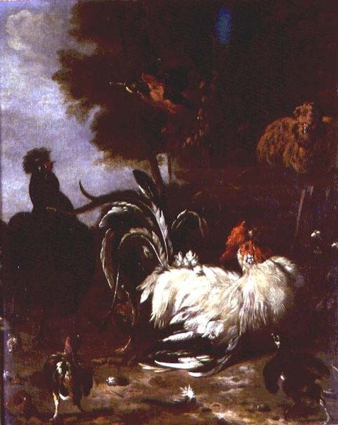 Ormanlık alanda horoz ve diğer kümes hayvanları by Melchior de (follower of) Hondecoeter