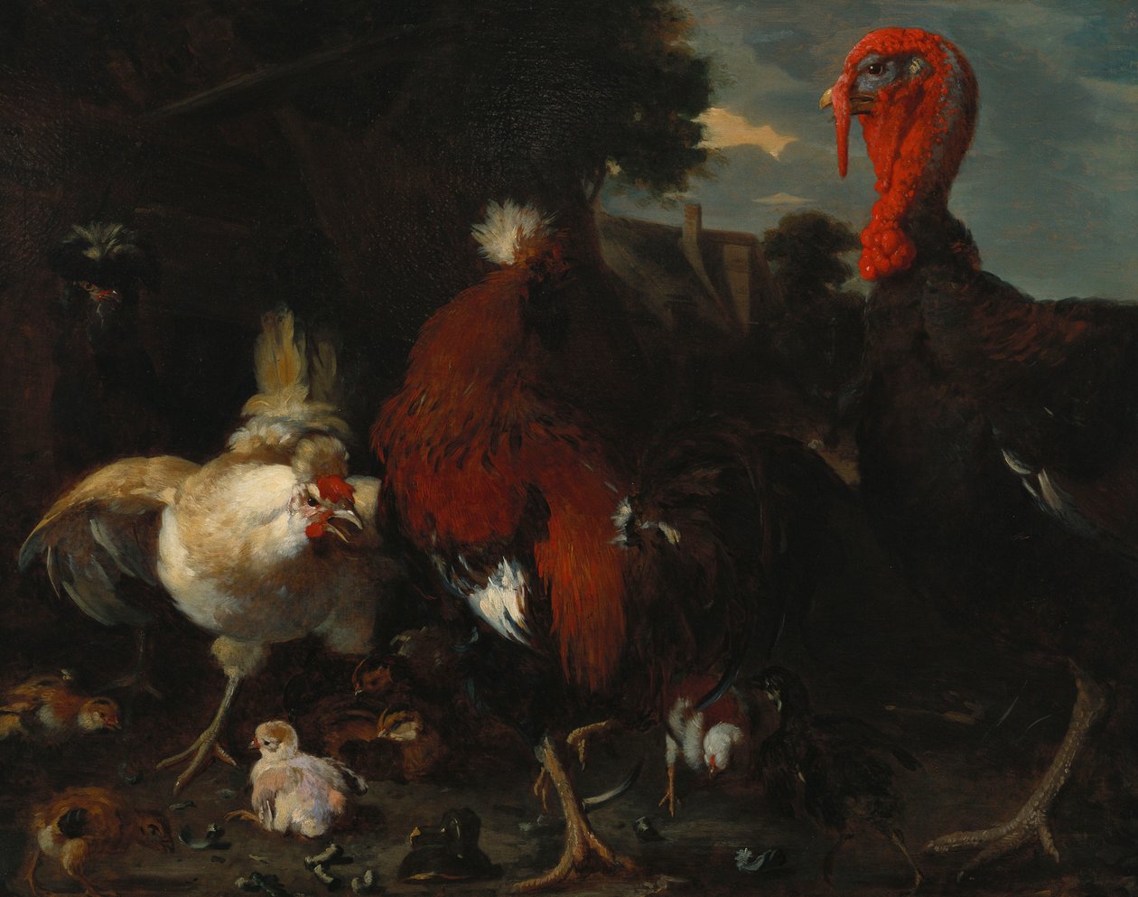 Çiftlik bahçesinde tavuk, horoz ve hindi by Melchior de Hondecoeter