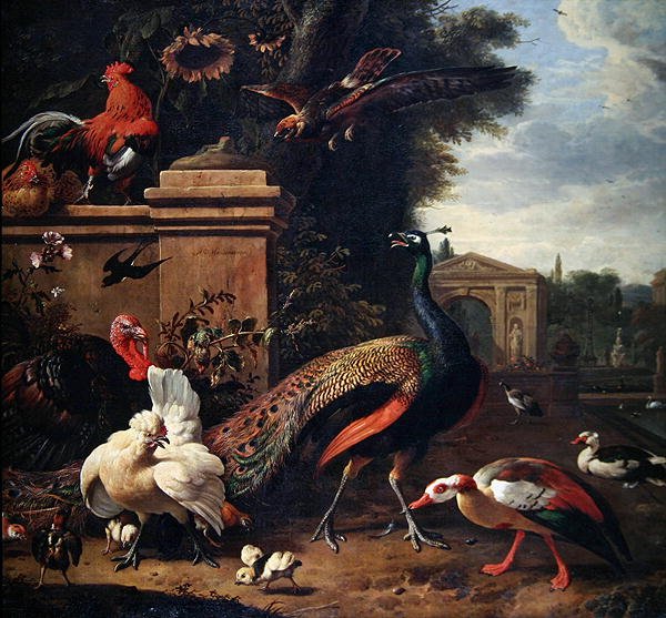 Bir Parkta Tavus Kuşu, Bir Şahin ve Çeşitli Tavuklar ve Ördekler (tuval üzerine yağlı boya) by Melchior de Hondecoeter
