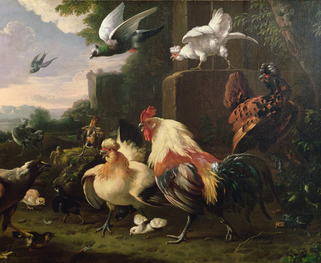 Bir manzarada bir horoz ve diğer kümes hayvanları by Melchior de Hondecoeter