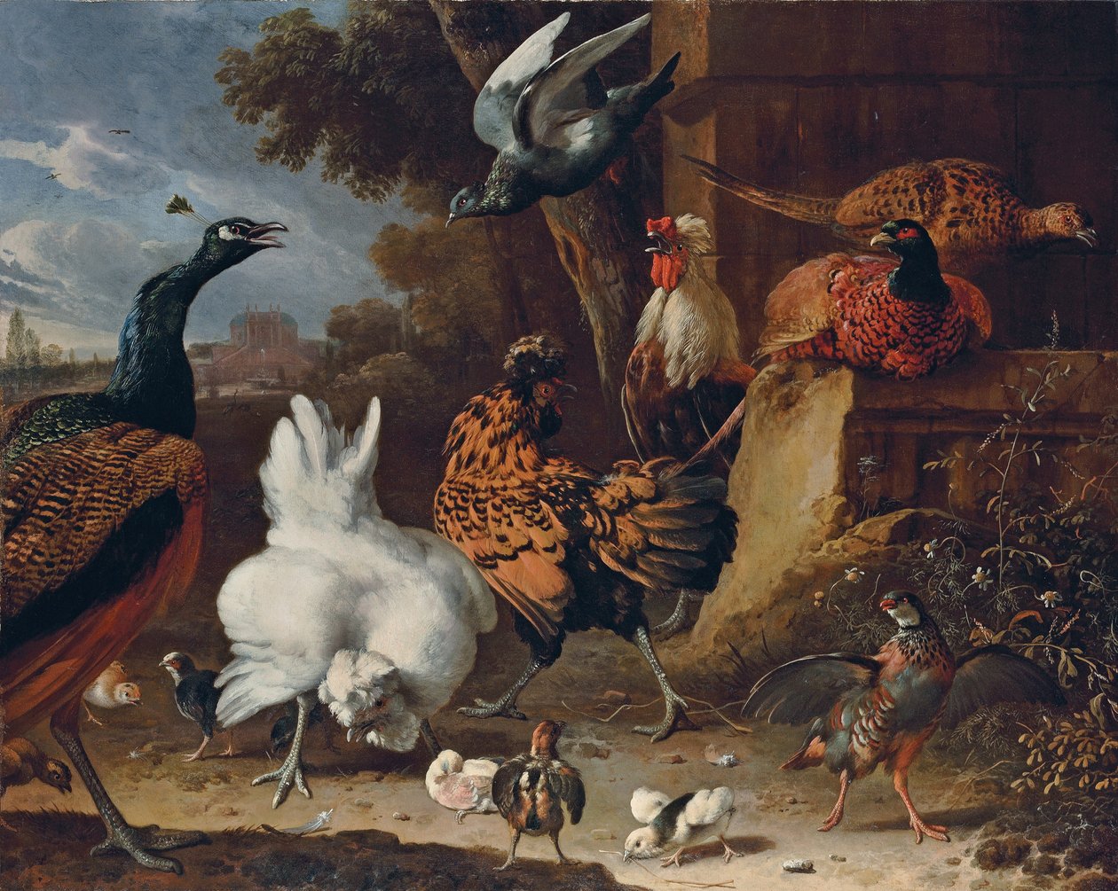 Bir konağın parkında duvarın yanında bir horoz, tavuklar, civcivler, keklik, sülünler, tavus kuşu ve güvercin by Melchior de Hondecoeter