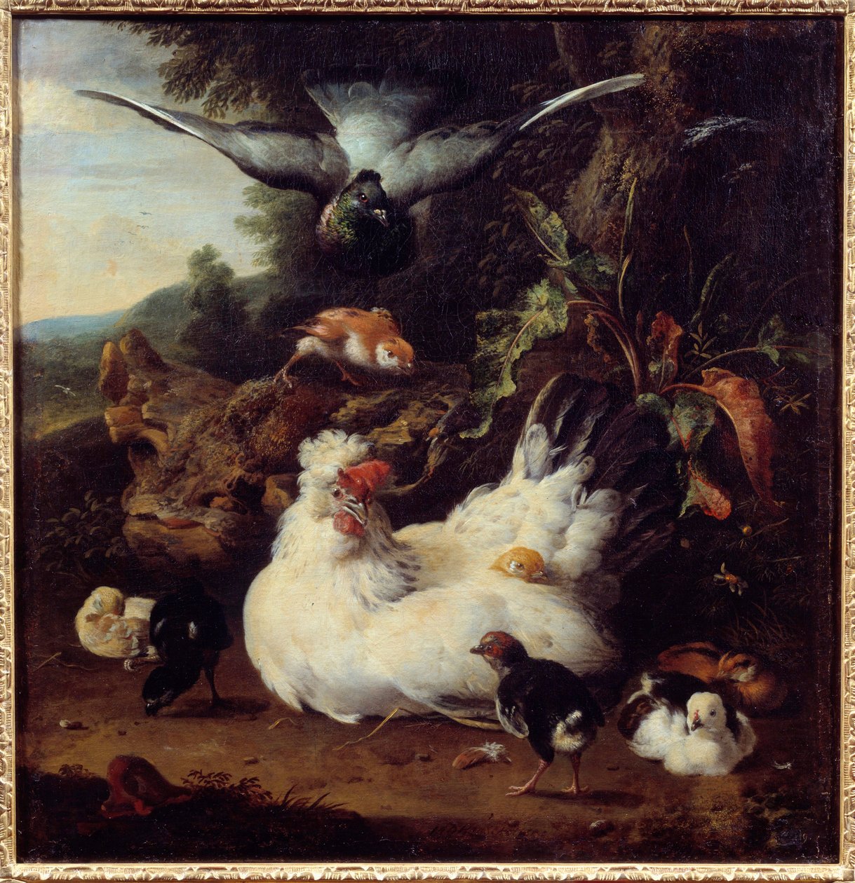 Bir tavuk ve civcivleri Tablo Melchior Hondecoeter (1636-1695) 17. yüzyıl Caen, Güzel Sanatlar Müzesi by Melchior de Hondecoeter
