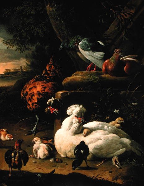Peyzajda civciv, horoz ve güvercinlerle dolu bir tavuk (tuval üzerine yağlı boya) by Melchior de Hondecoeter