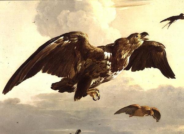 Uçan Kartal ve Kırlangıç by Melchior de Hondecoeter