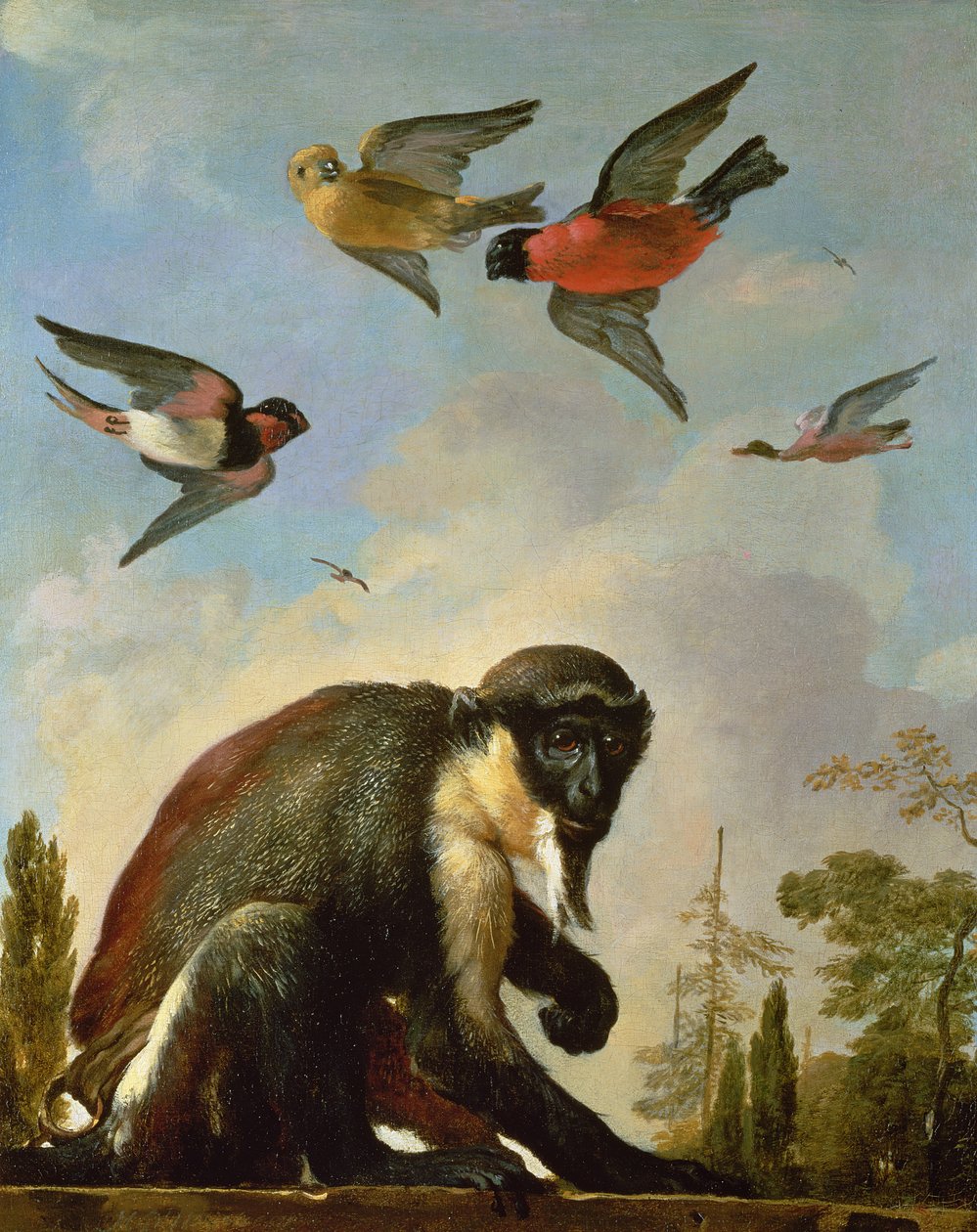 Bir manzara içinde zincirlenmiş maymun by Melchior de Hondecoeter