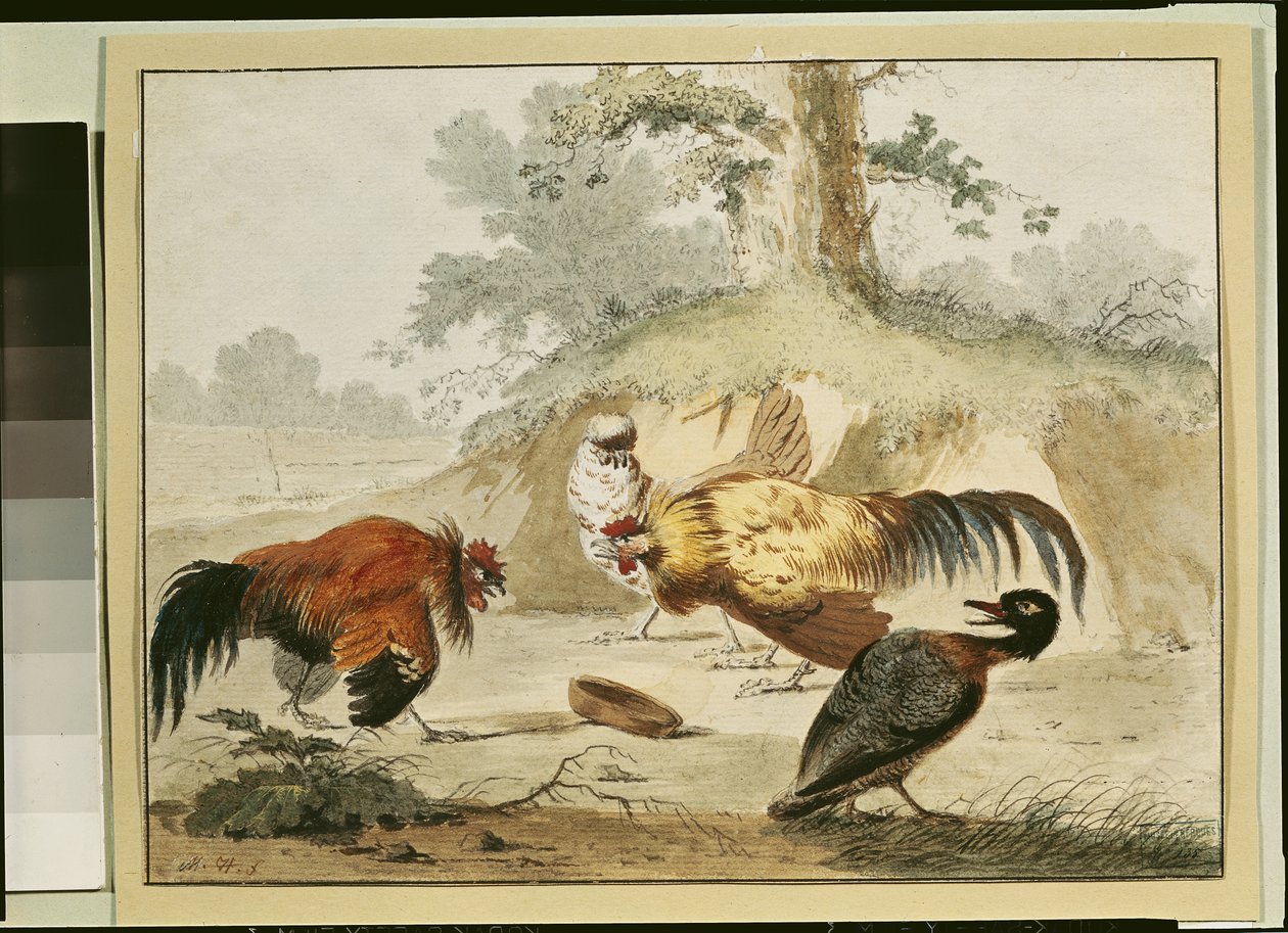 musluklar kavga by Melchior de Hondecoeter