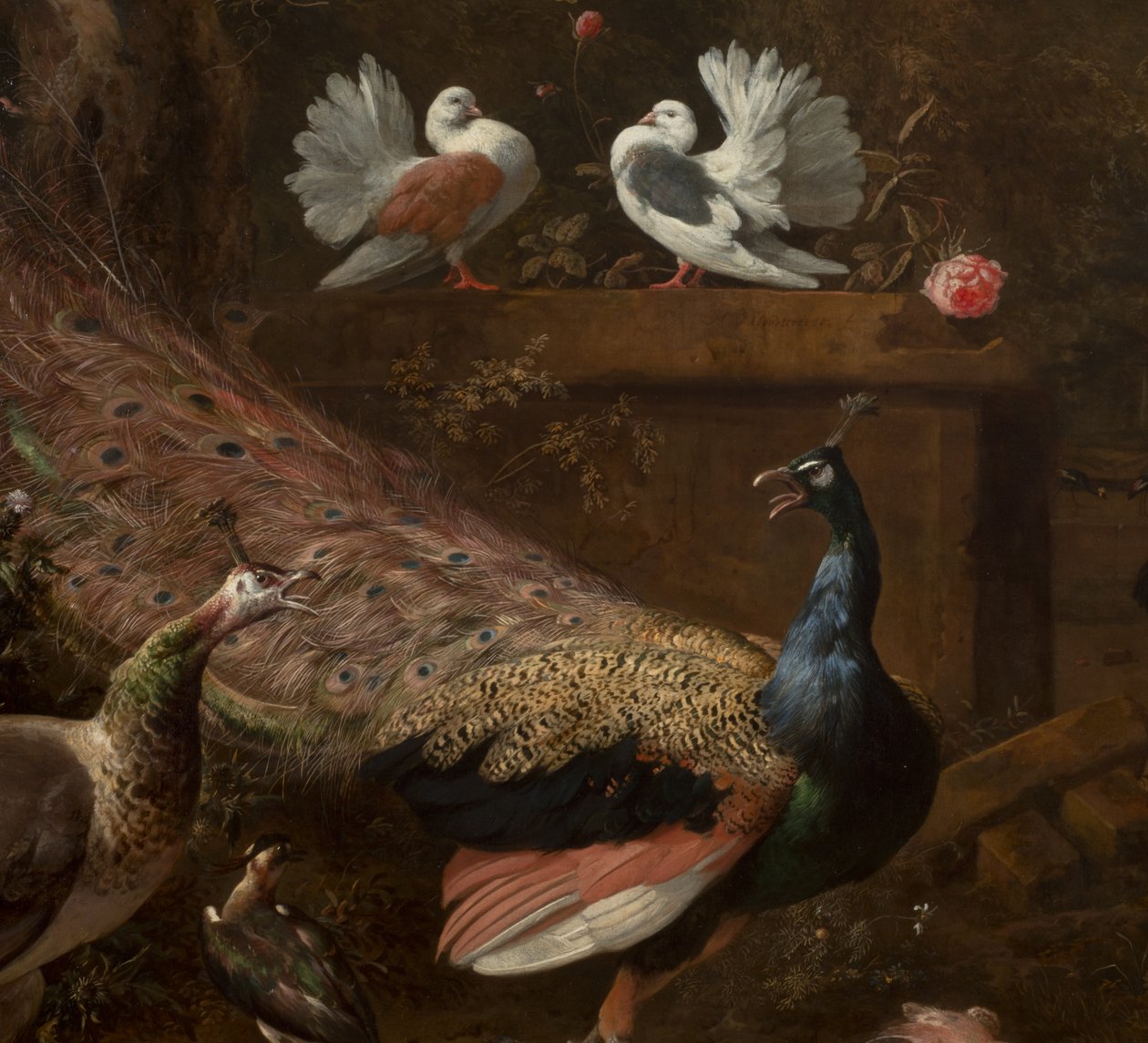 Menagerie
