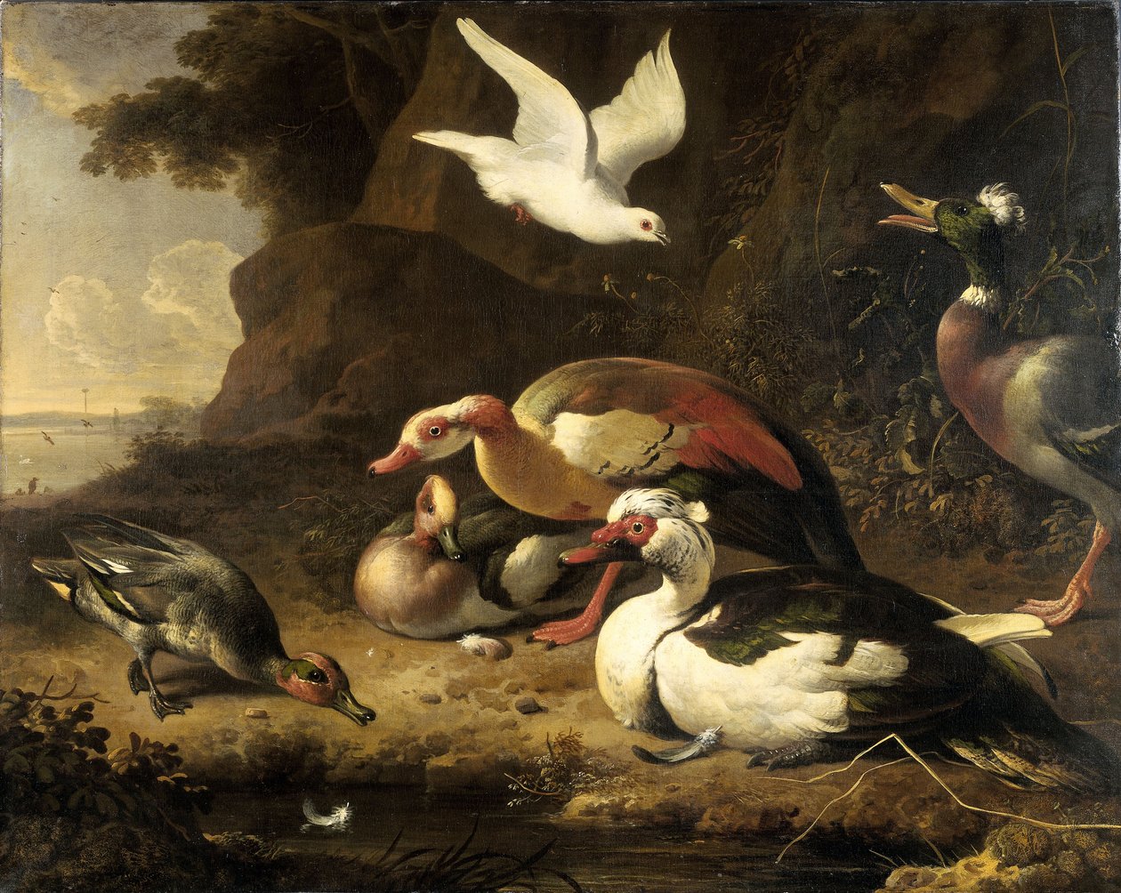  by Melchior de Hondecoeter