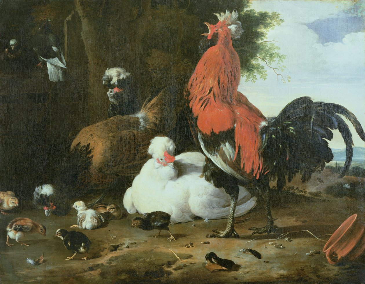 Güvercinler ile çiftlik tavukları by Melchior de Hondecoeter