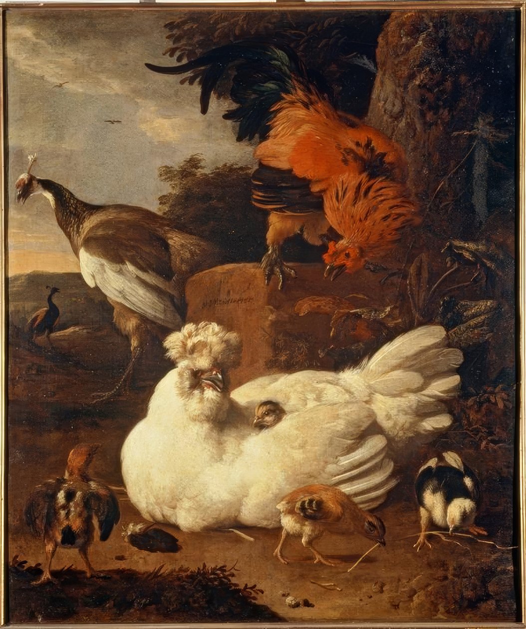 M. de Hondecoeter, civcivli anne tavuk by Melchior de Hondecoeter