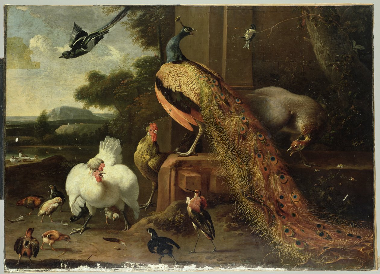 Kanatlı Darbesinde İsyan by Melchior de Hondecoeter