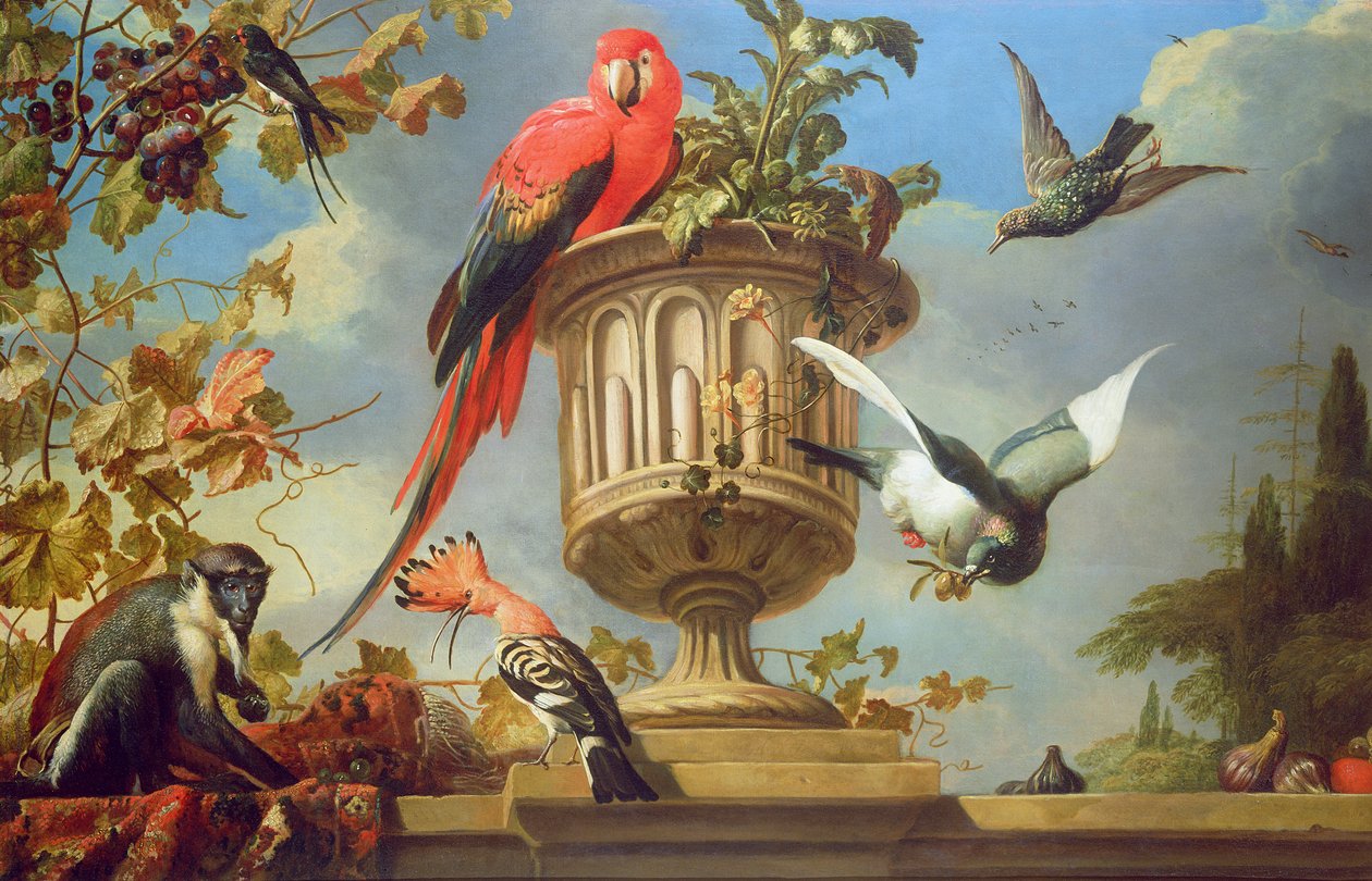 Diğer kuşlar ve üzüm yiyen bir maymunla birlikte bir vazoya tünemiş Scarlet Amerika papağanı by Melchior de Hondecoeter