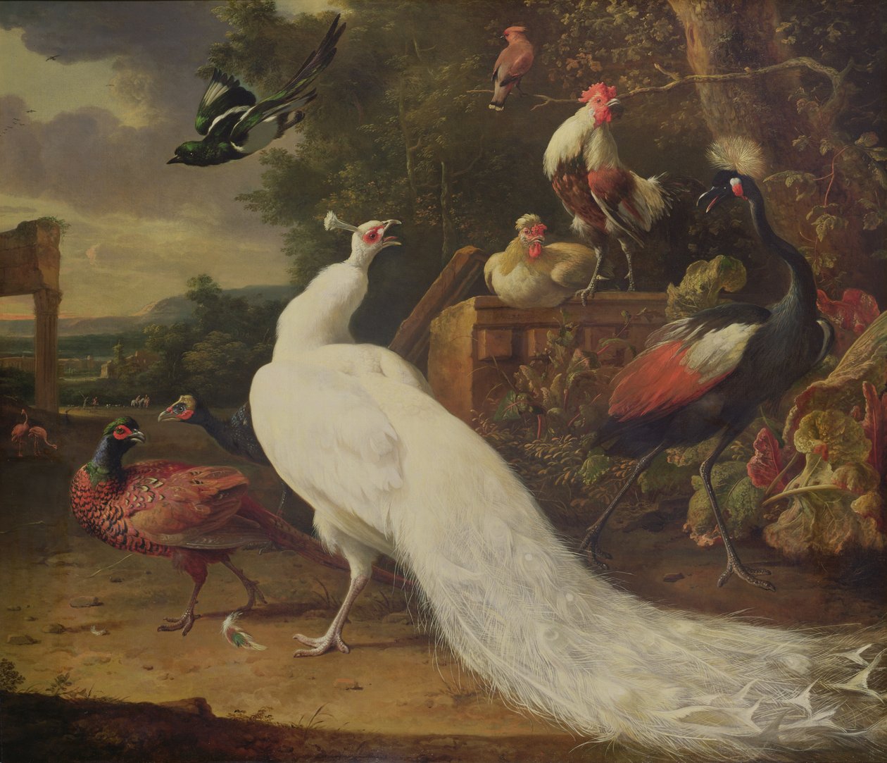 Beyaz Tavus Kuşu by Melchior de Hondecoeter