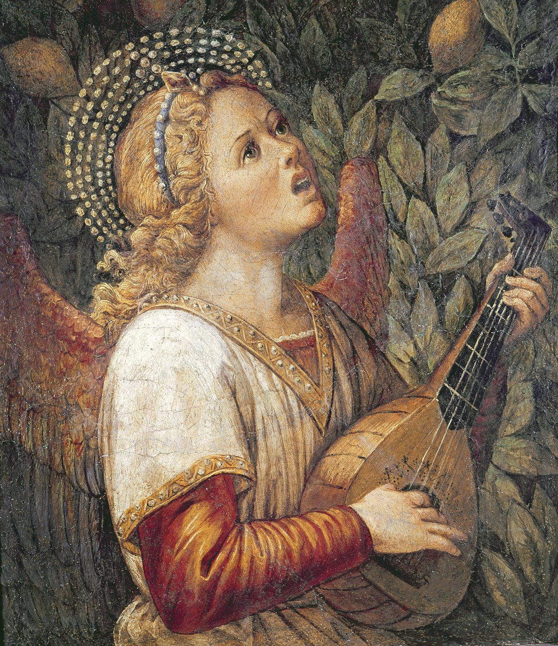 Melek Müzisyen by Melozzo da Forli