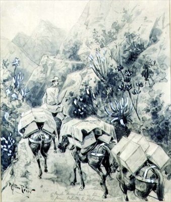 Trekking, Cabello
