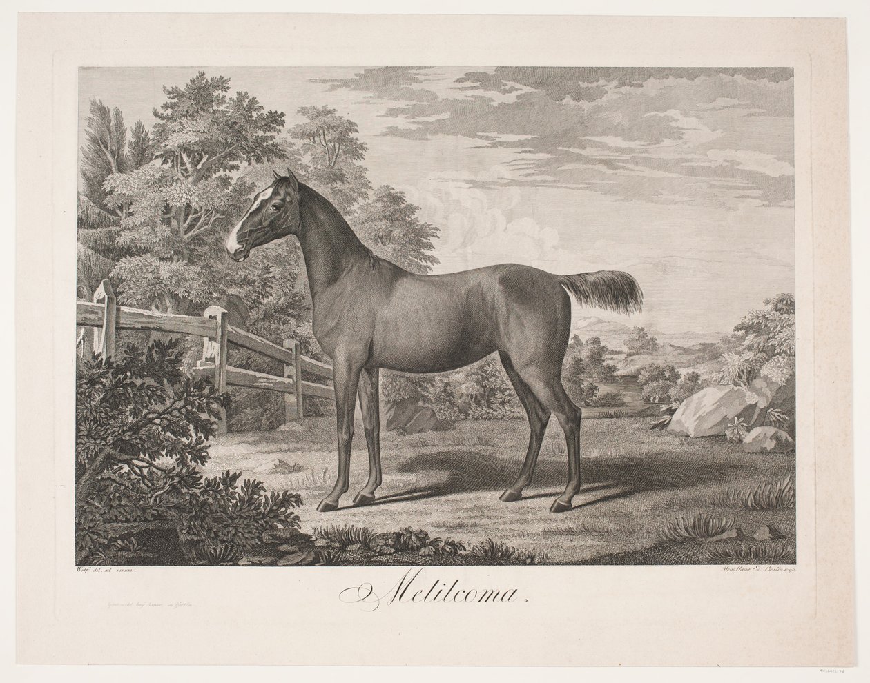 At "Melilcoma" by Meno Haas