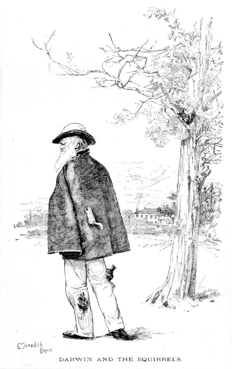 Darwin ve Sincaplar, Charles Darwin