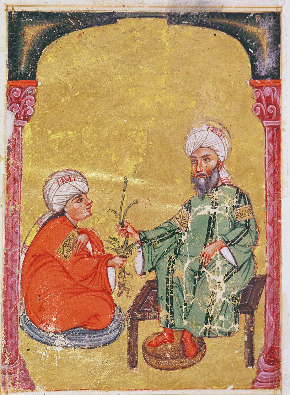 Ahmet III, 2127 Dioscorides