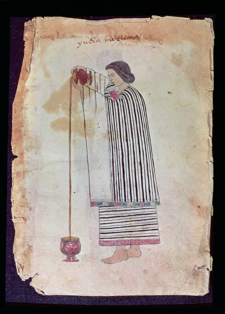 Codex Tuleda