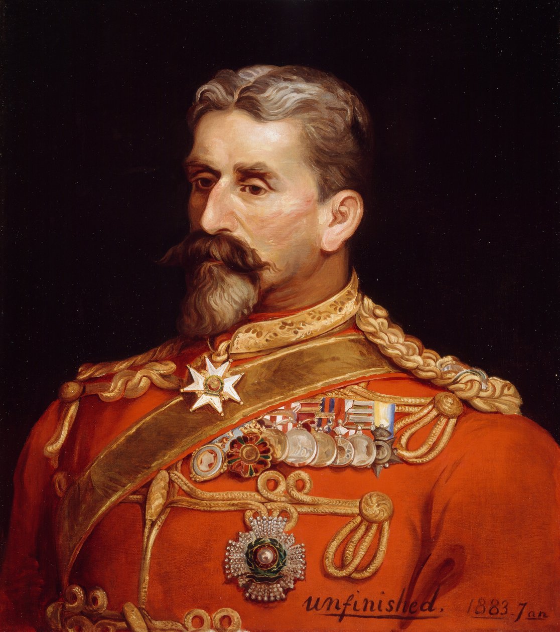 Tümgeneral Sir Charles Metcalfe MacGregor KCB CSI CIE (1840-87) Genel Müdür olarak Hindistan, 1883 by Michael Ciardiello